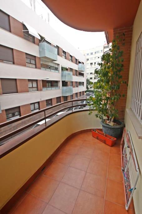 Sevilla Clasica: Amigos Y Familia. Parking Gratis! Εξωτερικό φωτογραφία